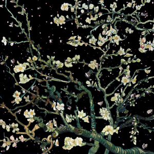 老八吃奥利给下载链接
